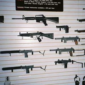 Gun Control