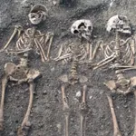Plague